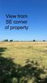 1291 County Road  259 - Photo 2
