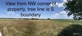 1291 County Road  259 - Photo 4
