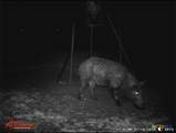 4025 County Road 284 - Photo 7