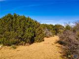 8601 Trimmier Road - Photo 9