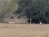 15631 Fm 682 - Photo 42