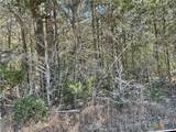 50 Acres County Road 212 - Photo 10