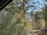 50 Acres County Road 212 - Photo 13