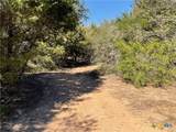 50 Acres County Road 212 - Photo 15