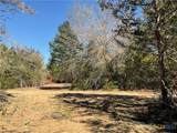 50 Acres County Road 212 - Photo 16