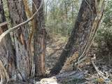 50 Acres County Road 212 - Photo 27