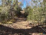 50 Acres County Road 212 - Photo 28
