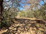 50 Acres County Road 212 - Photo 29