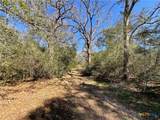 50 Acres County Road 212 - Photo 36