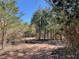 50 Acres County Road 212 - Photo 38