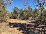 50 Acres County Road 212 - Photo 39