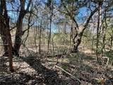 50 Acres County Road 212 - Photo 4