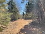 50 Acres County Road 212 - Photo 40