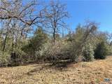 50 Acres County Road 212 - Photo 42