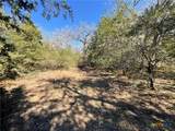 50 Acres County Road 212 - Photo 43