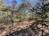 50 Acres County Road 212 - Photo 47
