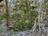 50 Acres County Road 212 - Photo 6