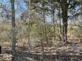 50 Acres County Road 212 - Photo 7