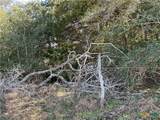 50 Acres County Road 212 - Photo 9