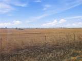 TBD-20 Acres Tbd Cr 255 - Photo 8