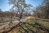 1387 County Road 304 - Photo 37