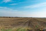 18402 Manda Carlson Road - Photo 11