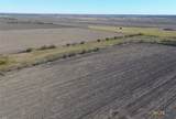 18402 Manda Carlson Road - Photo 19