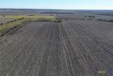 18402 Manda Carlson Road - Photo 6