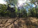 15010 Rosanky Road - Photo 6