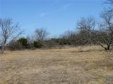 TBD Lot 2 Old Pidcoke Road - Photo 9