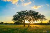 0 Golden Hour Ranch - Photo 2