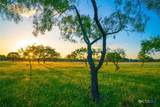 0 Golden Hour Ranch - Photo 4