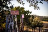 TBD Steitle Road - Photo 29