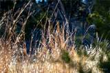 TBD Steitle Road - Photo 30