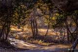 TBD Steitle Road - Photo 7