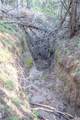 TBD Bell Springs Road - Photo 37