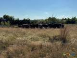 TBD County Road 139 - Photo 11