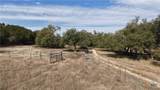 101 Purple Sage Street - Photo 9