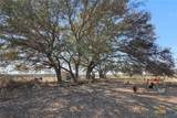 16588 Us Highway 281 - Photo 7
