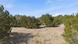 1060 Whitetail Ridge Drive - Photo 10