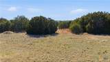 1060 Whitetail Ridge Drive - Photo 12