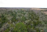 0 Hwy 190/36 And Cr 241A - Photo 11