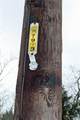8729 Fm 20 - Photo 7