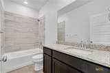 3902 American Elm - Photo 15