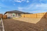 3902 American Elm - Photo 24