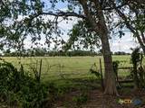 7805 Barbarossa Road - Photo 9