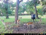 110 Guadalupe Drive - Photo 43