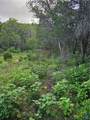 0 Happy Hollow - Photo 4