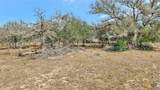 1103 Berger Road - Photo 8