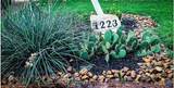 1223 Gruene Vintage - Photo 2